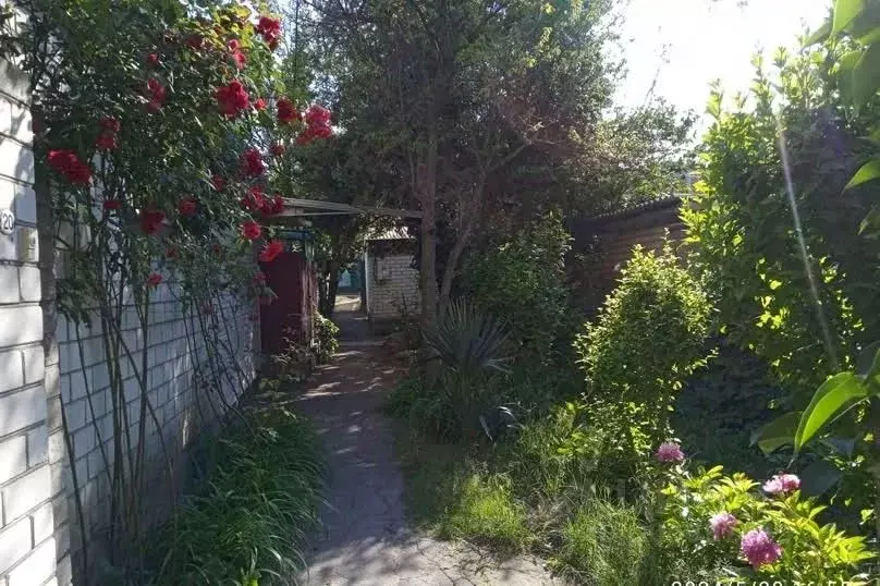 Дом в Краснодарский край, Анапа ул. Краснозеленых, 31 (35 м) - Фото 2