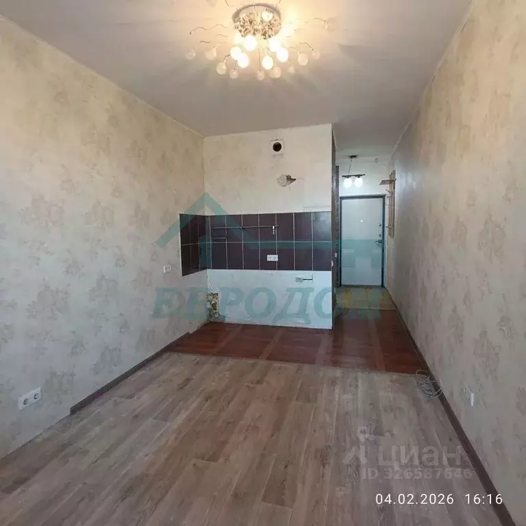 Студия Новосибирская область, Новосибирск Первомайская ул., 226 (24.6 ... - Фото 1