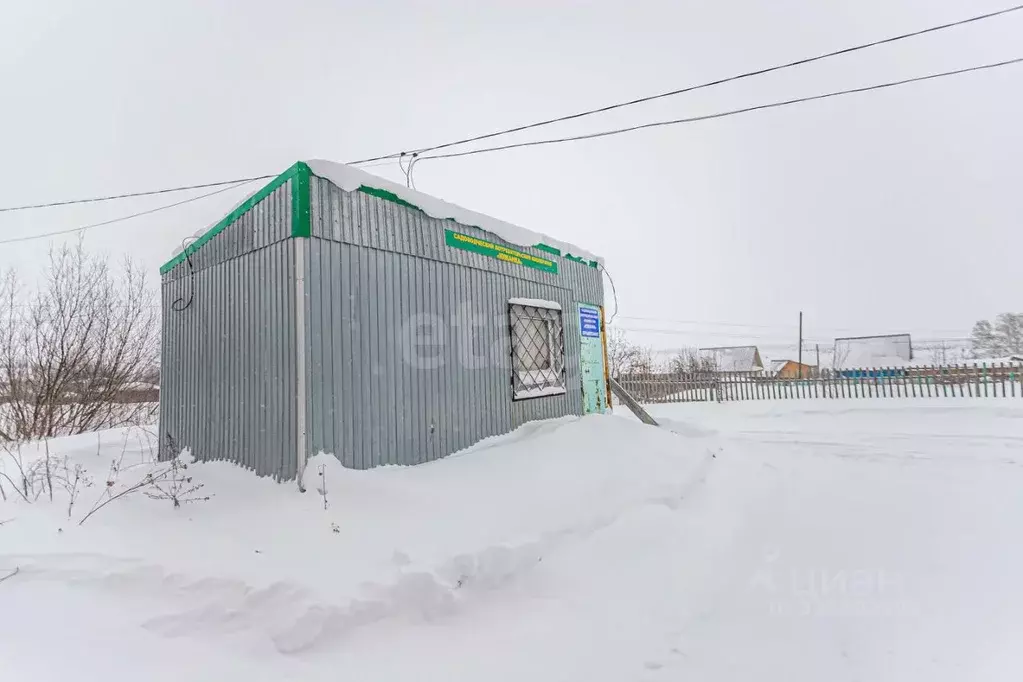 Участок в Новосибирская область, Искитимский район, Чернореченский ... - Фото 1