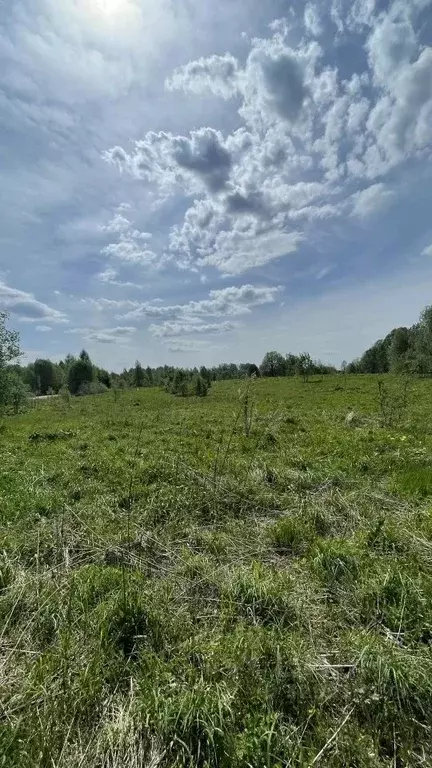 Участок в Новгородская область, Пестовский муниципальный округ, д. ... - Фото 1
