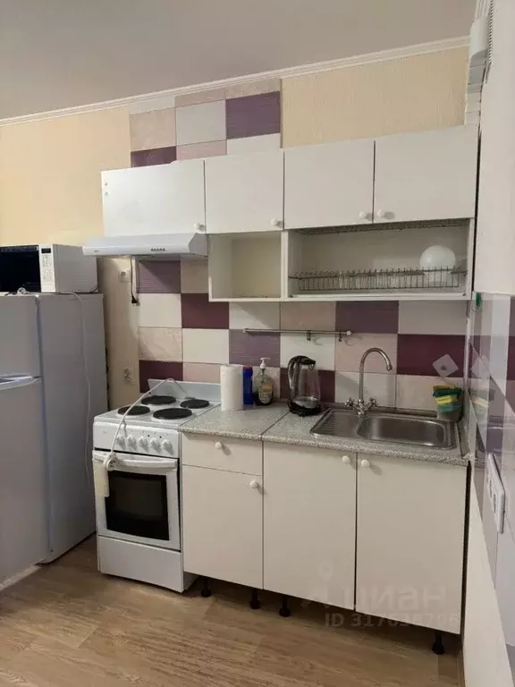 Студия Ленинградская область, Ломоносовский район, Виллозское ... - Фото 0