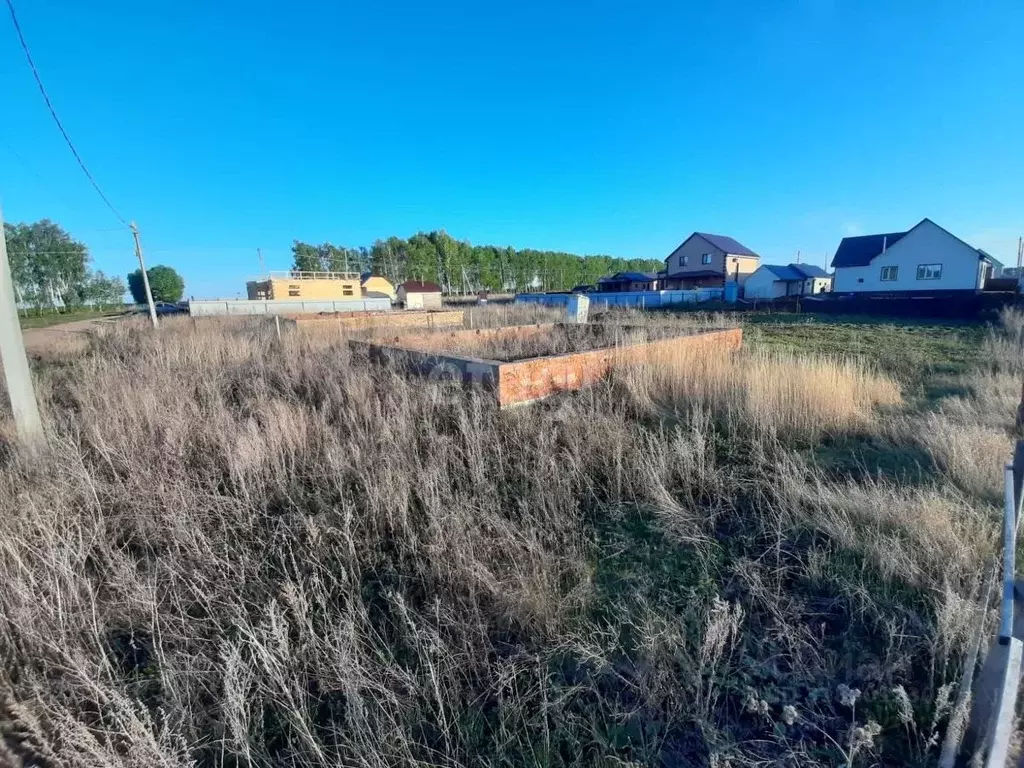 Участок в Башкортостан, Чекмагушевский сельсовет, с. Чекмагуш  (10.0 ... - Фото 2