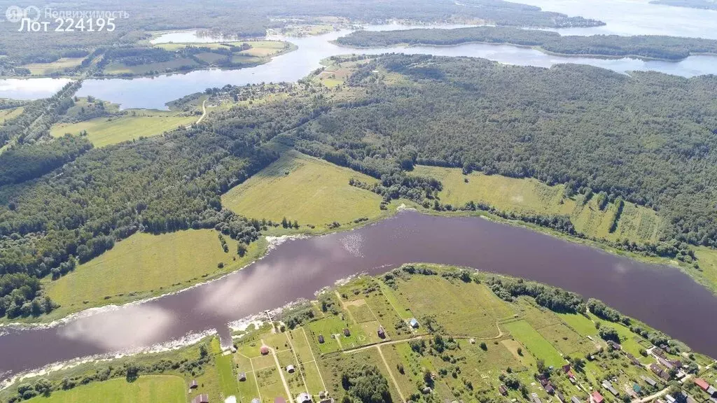 Участок в Ярославская область, Угличский муниципальный округ, деревня ... - Фото 2