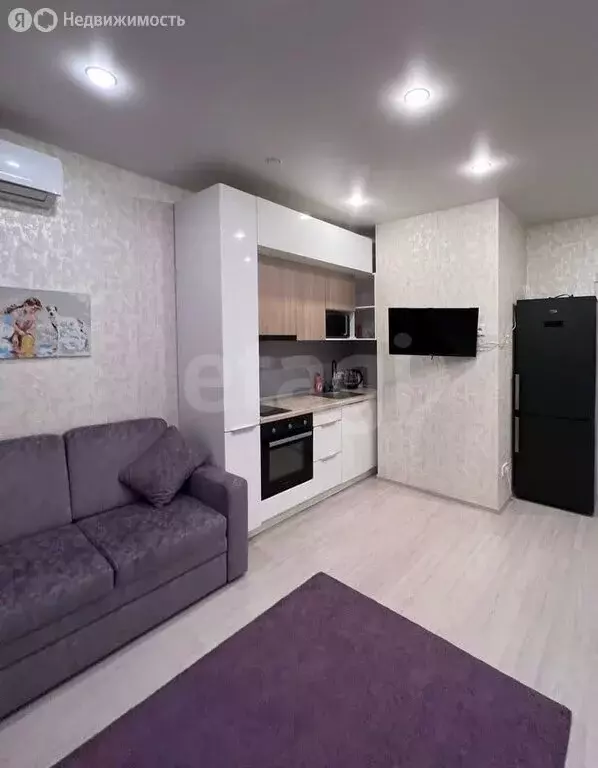 Квартира-студия: Новосибирск, улица Кирова, 225 (24 м) - Фото 2