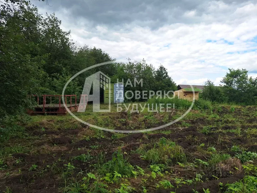 Участок в Пермский край, Кунгурский муниципальный округ, д. Полетаево ... - Фото 1