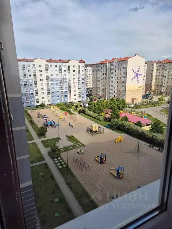 2-к кв. Калининградская область, Калининград ул. Согласия, 36 (45.0 м) - Фото 0