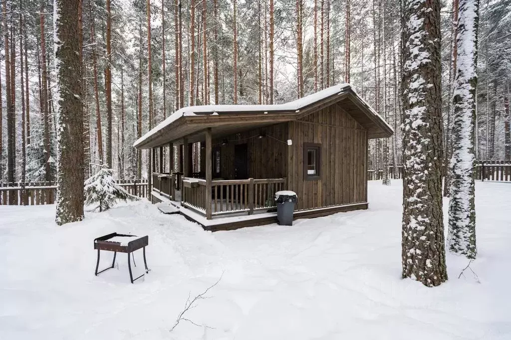 Дом в Ленинградская область, Ломоносовский район, Лебяженское ... - Фото 1