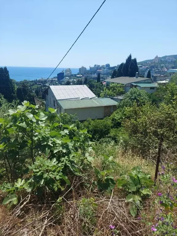 Участок в Крым, Ялта ул. Войкова, 12 (6.0 сот.) - Фото 1