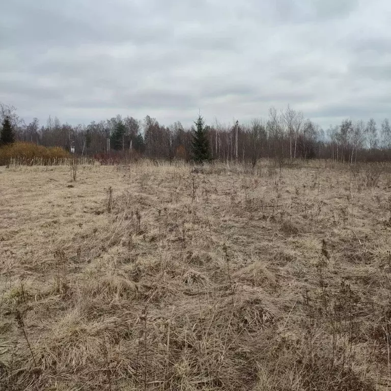 Участок в Московская область, Павлово-Посадский городской округ, д. ... - Фото 0