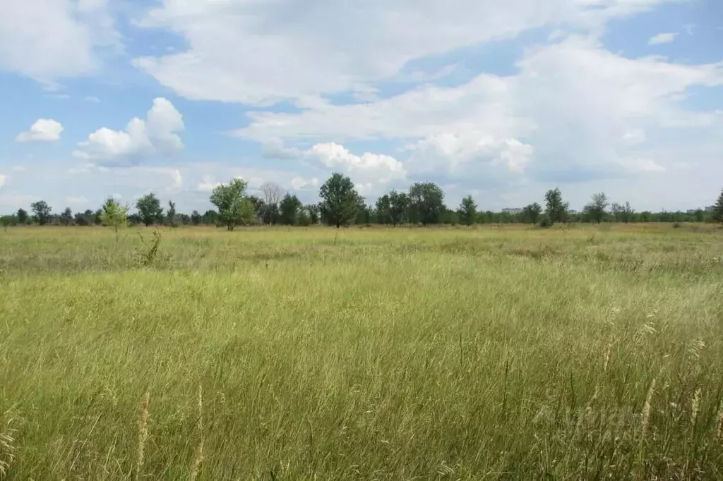 Участок в Самарская область, Тольятти Южное ш. (4500.0 сот.) - Фото 1