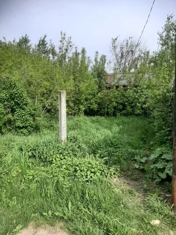 Участок в Пермский край, Пермский муниципальный округ, д. Большое ... - Фото 2