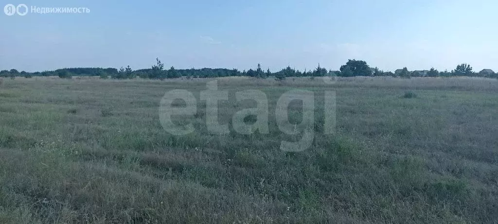 Участок в Тукаевский район, Биюрганское сельское поселение, деревня ... - Фото 2