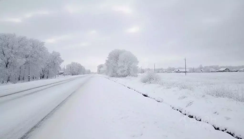 Участок в Ленинградская область, Ломоносовский район, Лопухинское ... - Фото 2