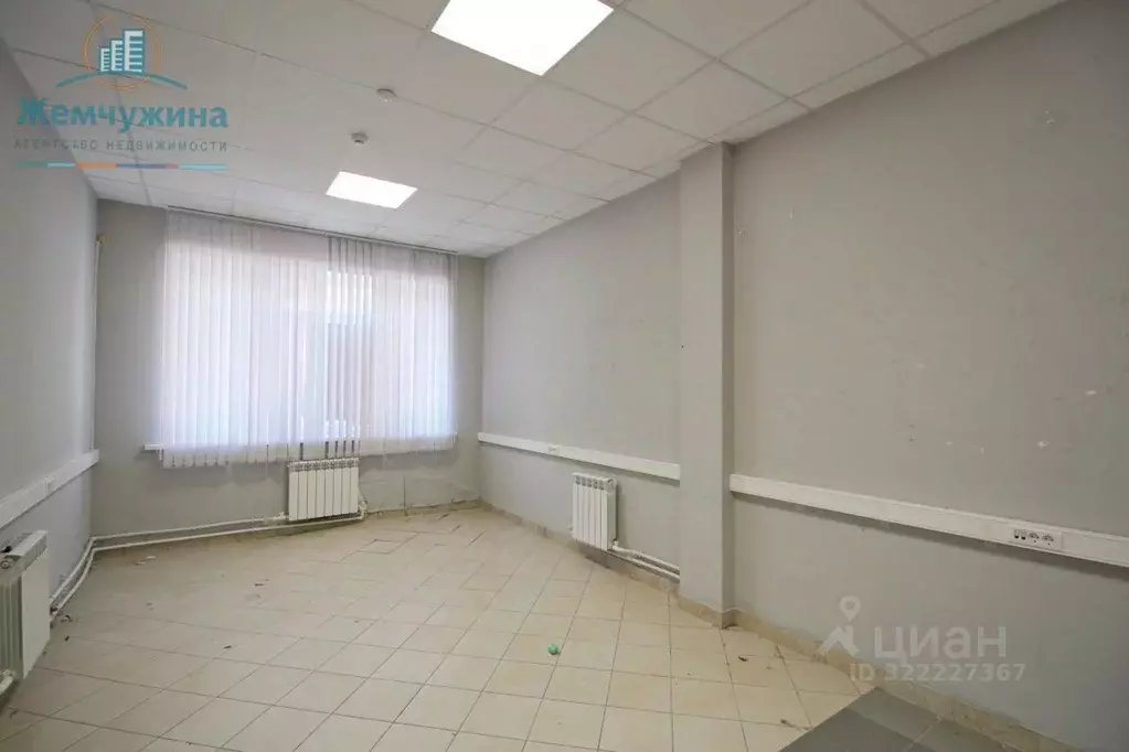 Офис в Ульяновская область, Димитровград просп. Димитрова, 8А (24 м) - Фото 2