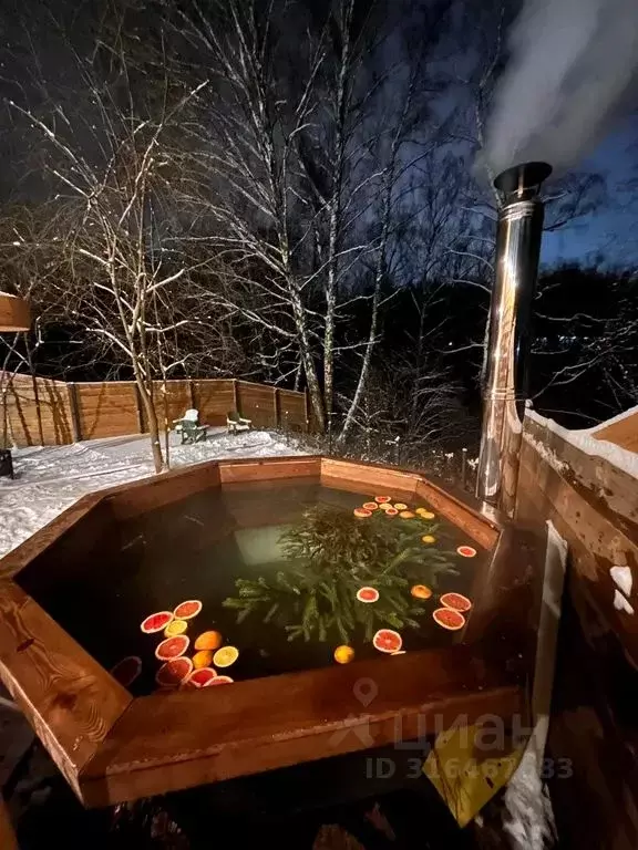 Дом в Нижегородская область, Богородский муниципальный округ, Окский ... - Фото 1