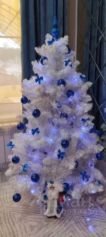 Дом в Челябинская область, Миасский городской округ, пос. Тургояк ул. ... - Фото 2