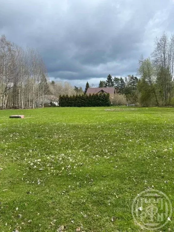 Участок в Ленинградская область, Выборгский район, Приморское ... - Фото 0