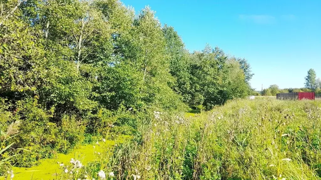 Участок в Новгородская область, Новгородский район, Ермолинское с/пос, ... - Фото 2