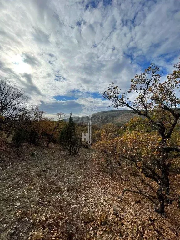 Участок в Крым, Алушта муниципальный округ, с. Приветное ул. Горького, ... - Фото 1