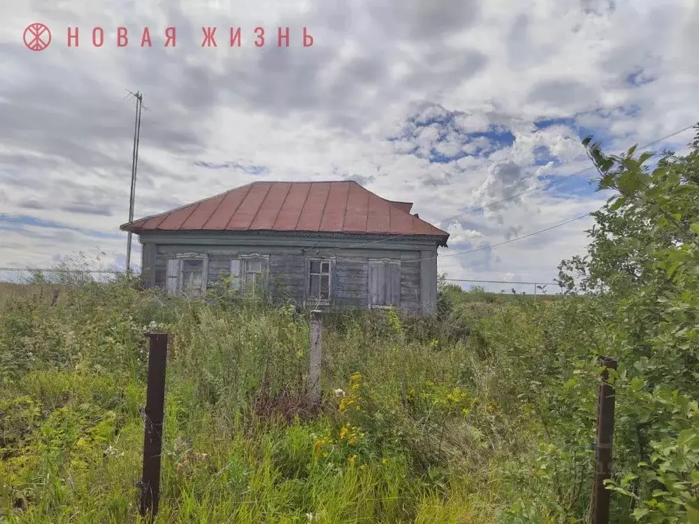 Дом в Самарская область, Красноярский район, Шилан с/пос, с. Чапаево ... - Фото 2