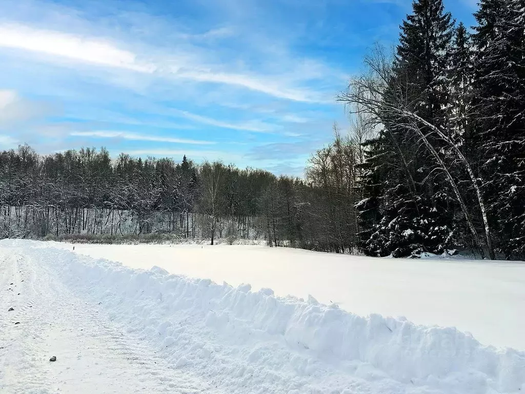 Участок в Московская область, Подольск городской округ, Пузиково кп 62 ... - Фото 2