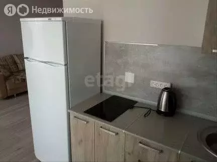 Квартира-студия: деревня Патрушева, улица Александра Пушкина, 16 (29.9 ... - Фото 1