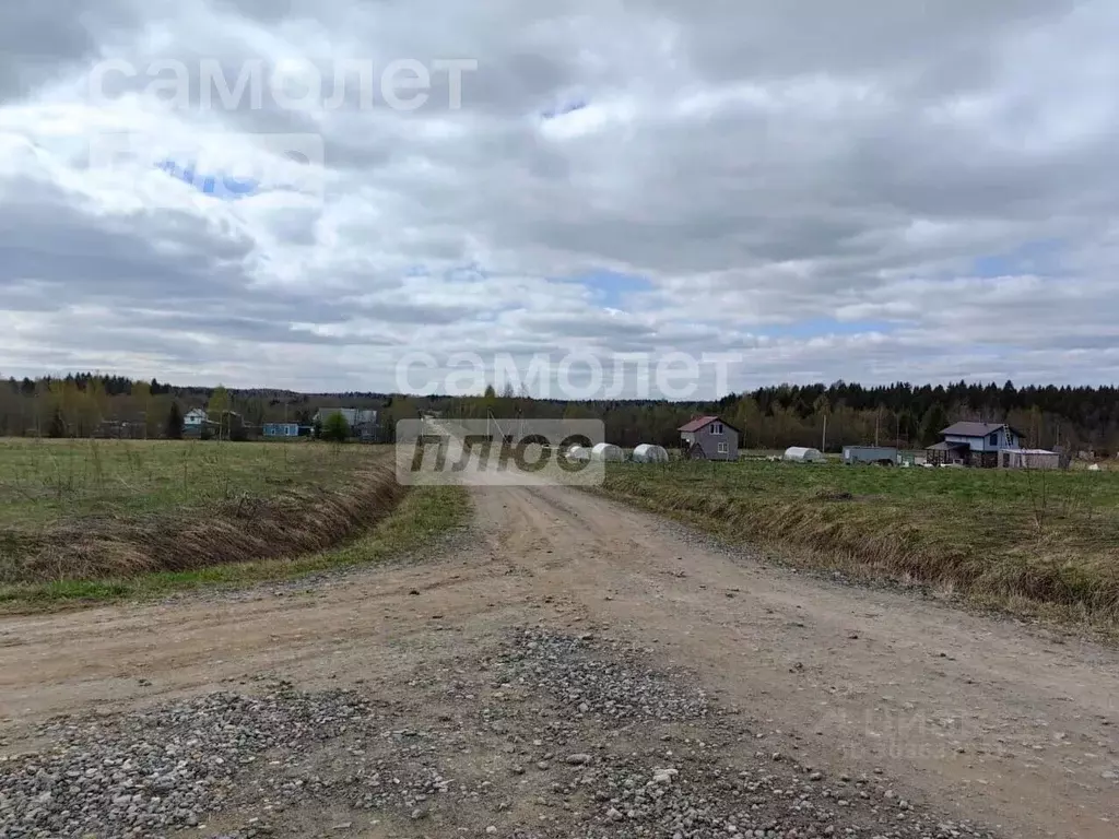 Участок в Вологодская область, д. Дюково  (20.0 сот.) - Фото 1