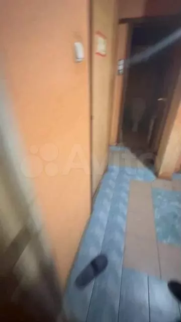 Комната 20 м в 2-к., 1/5 эт. - Фото 1