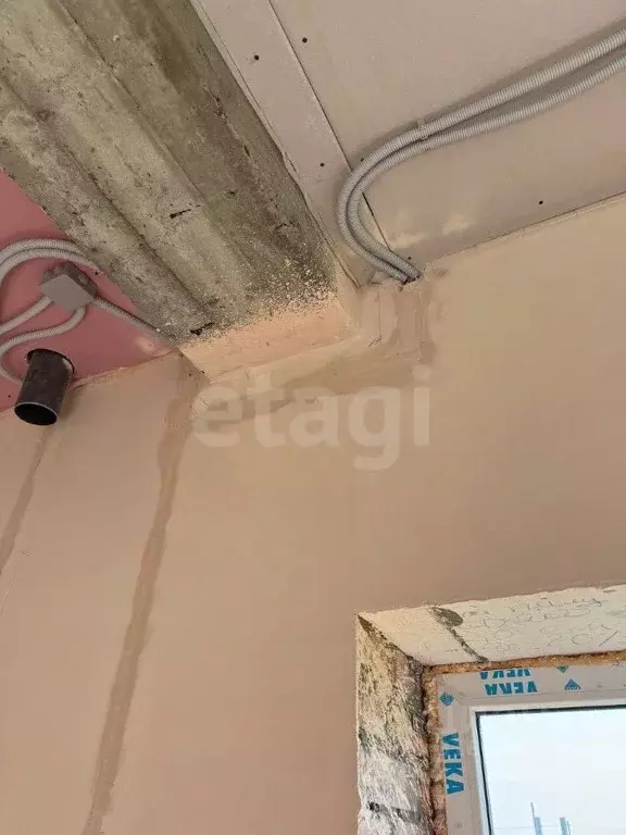 Дом в Белгородская область, Губкин ул. Вислодубравская, 32 (145 м) - Фото 2