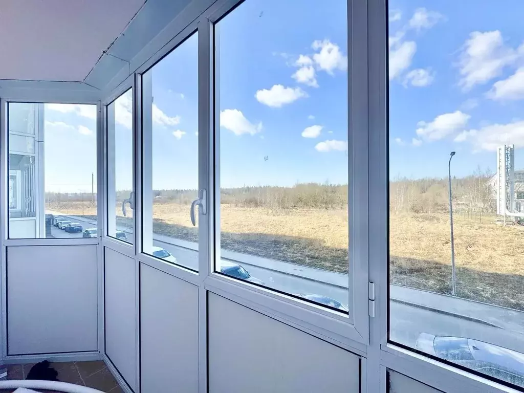 Студия Ленинградская область, Всеволожский район, Заневское городское ... - Фото 2