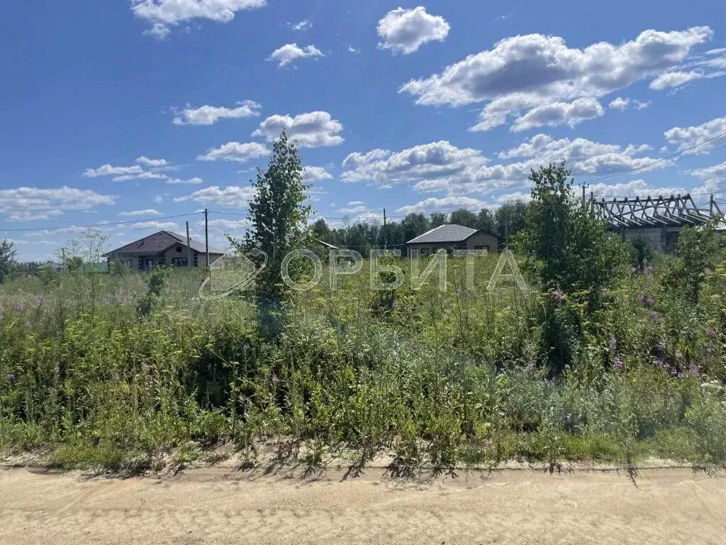 Участок в Тюменская область, Тюменский муниципальный округ, с. ... - Фото 1