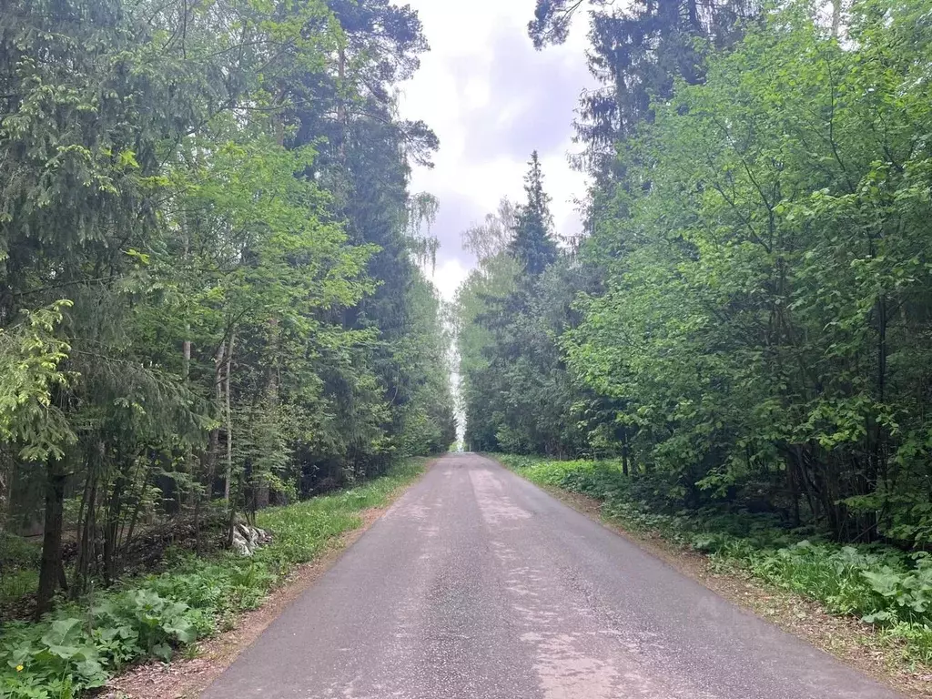 Участок в Московская область, Солнечногорск городской округ, Покров ... - Фото 1