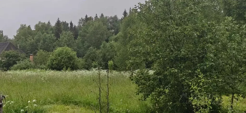 Участок в Московская область, Рузский муниципальный округ, д. Булыгино ... - Фото 1