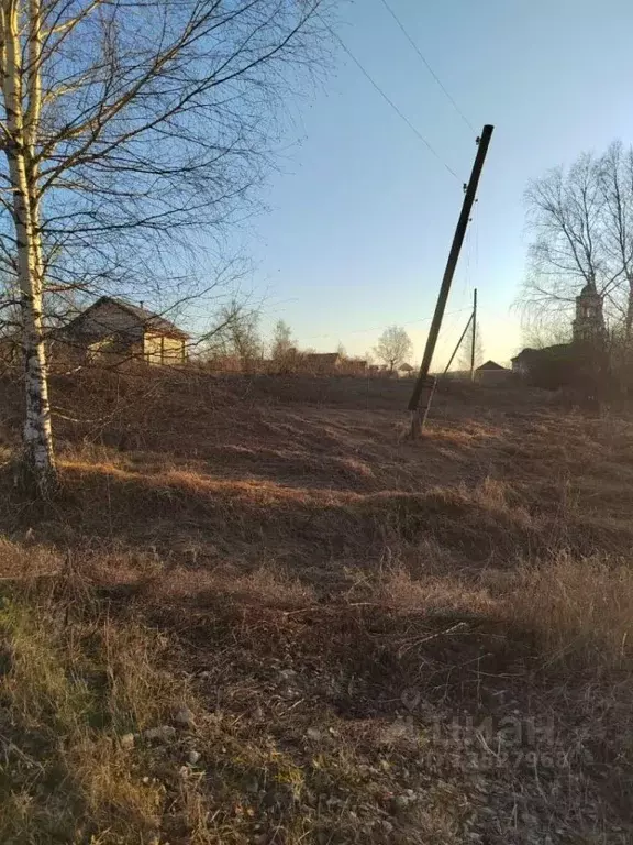 Участок в Нижегородская область, Вадский муниципальный округ, с. ... - Фото 1