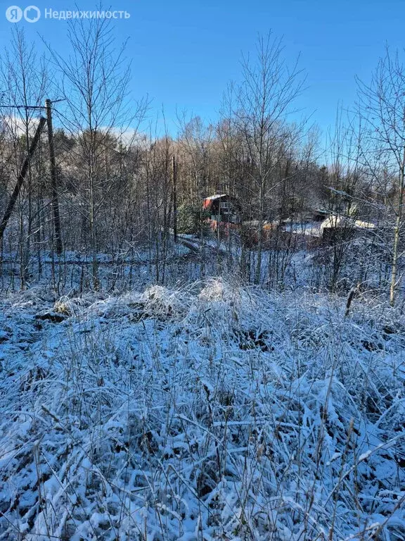 Участок в Выборгский район, Первомайское сельское поселение, СНТ ... - Фото 1