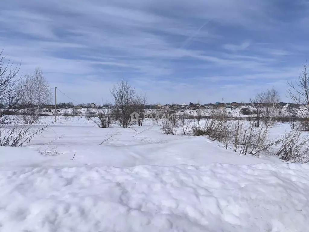 Участок в Пензенская область, с. Бессоновка, Тополя кп  (10.0 сот.) - Фото 2