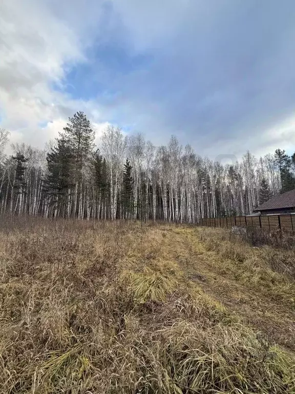 Участок в Свердловская область, Белоярский муниципальный округ, ... - Фото 2
