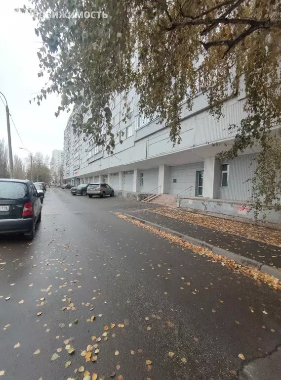 Помещение свободного назначения (290 м) - Фото 0