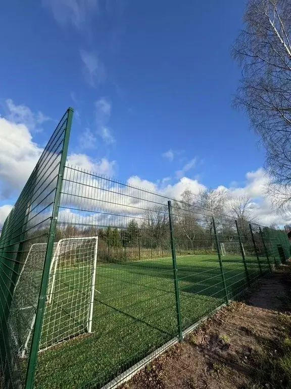 Участок в Ленинградская область, Кингисеппский район, Вистинское ... - Фото 2