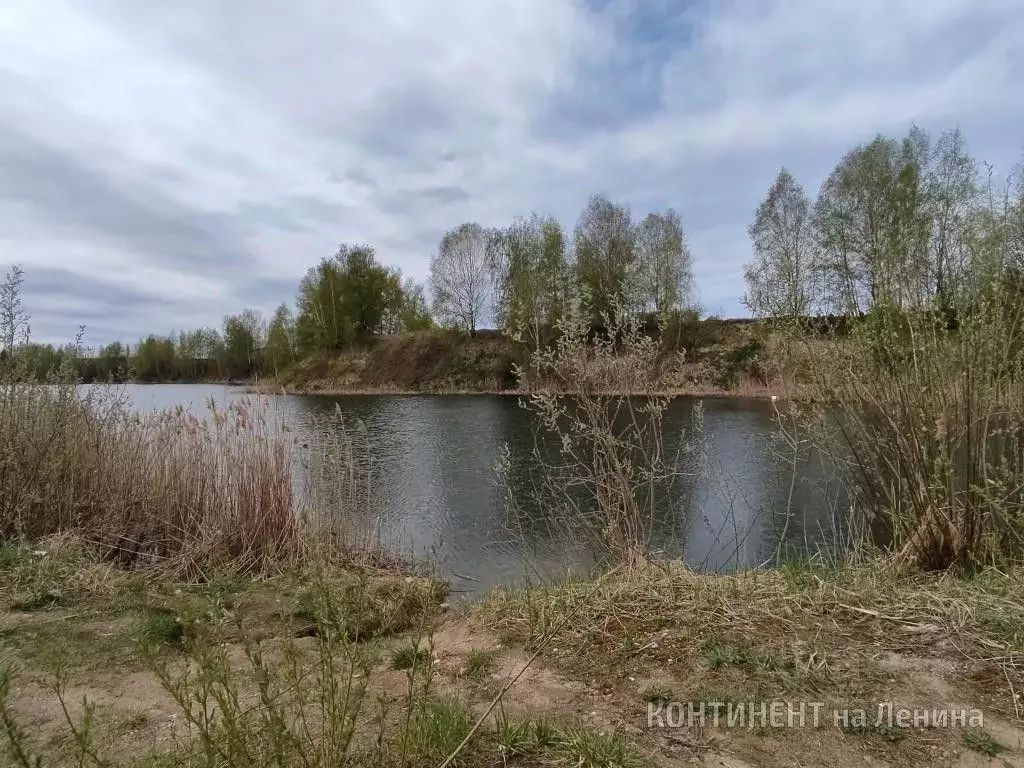 Участок в Ярославская область, Рыбинский муниципальный округ, д. ... - Фото 2