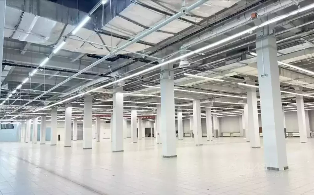 Помещение свободного назначения в Москва Щелковское ш., 100к100 (1000 ... - Фото 1