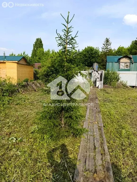 Участок в Новосибирск, садовое товарищество Ложок, 264 (6.39 м) - Фото 1