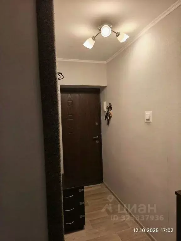 1-к кв. Ростовская область, Таганрог ул. Чехова (30.0 м) - Фото 2