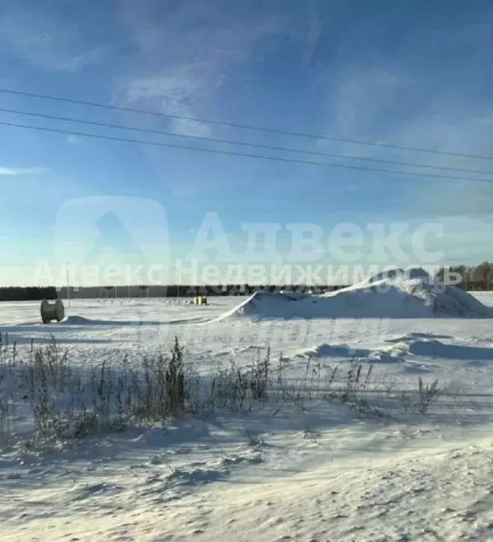 Участок в Тюменская область, Тюменский район, с. Каменка  (9.16 сот.) - Фото 1