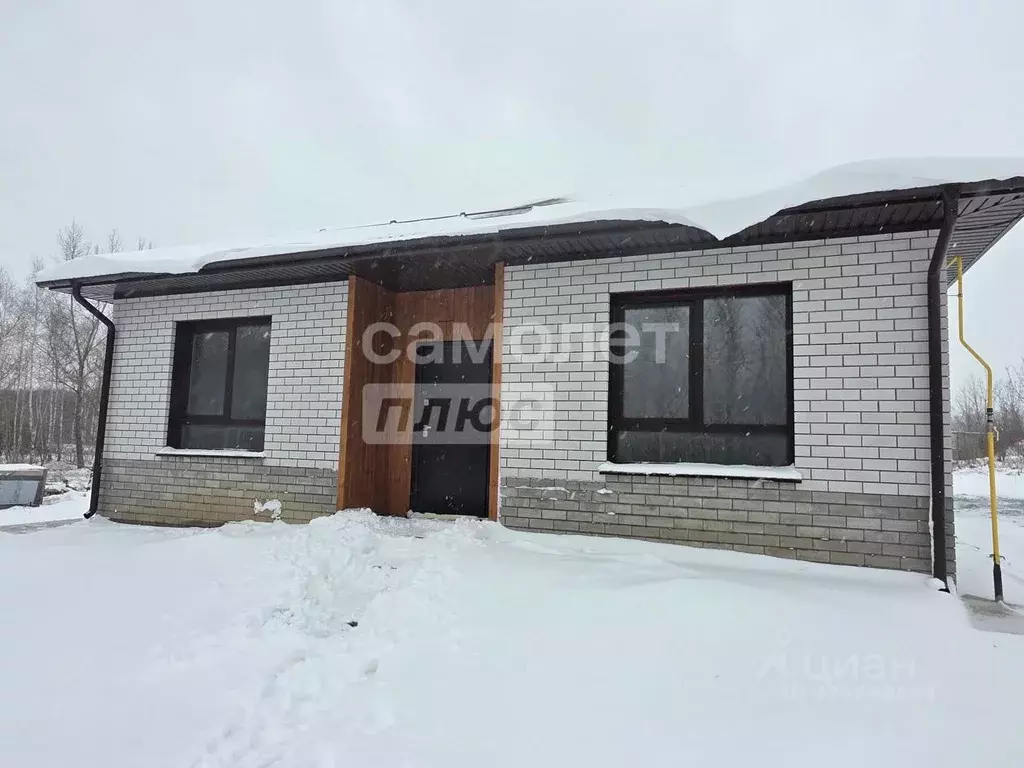 Дом в Алтайский край, Барнаул городской округ, пос. Бельмесево  (98 м) - Фото 1