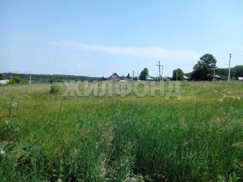 Участок в Новосибирская область, Тогучинский район, с. Буготак ул. ... - Фото 1