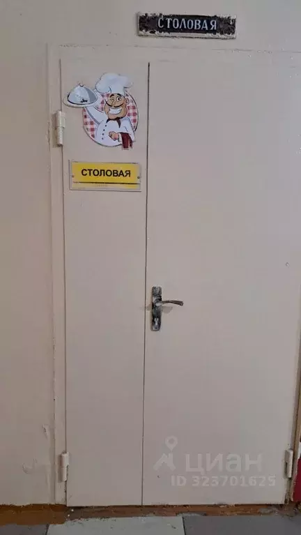 Помещение свободного назначения в Дагестан, Махачкала ул. Абубакарова, ... - Фото 2