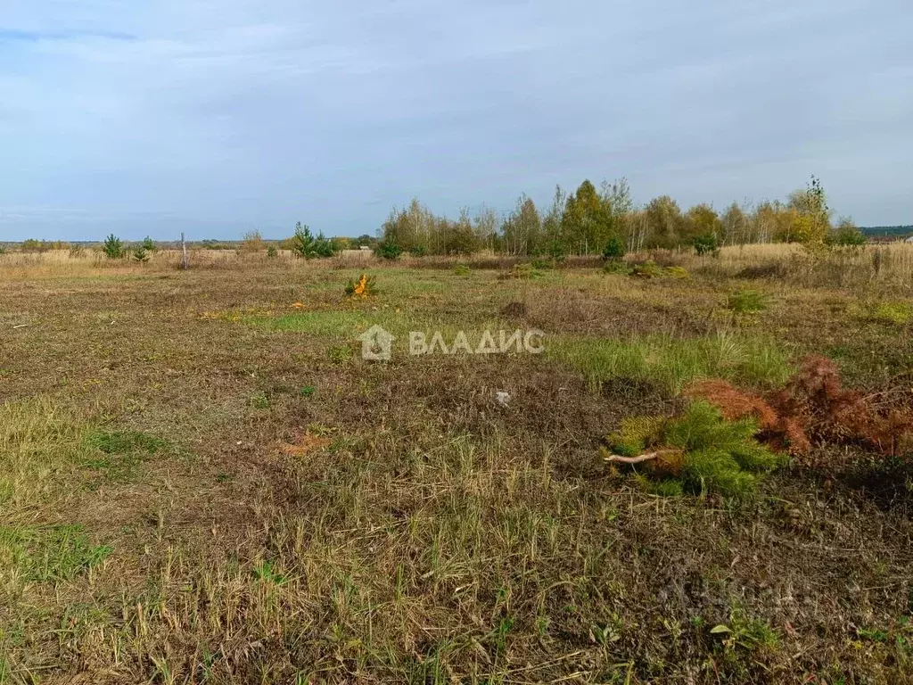 Участок в Тамбовская область, Тамбов ул. Имени Марины Цветаевой (7.5 ... - Фото 0