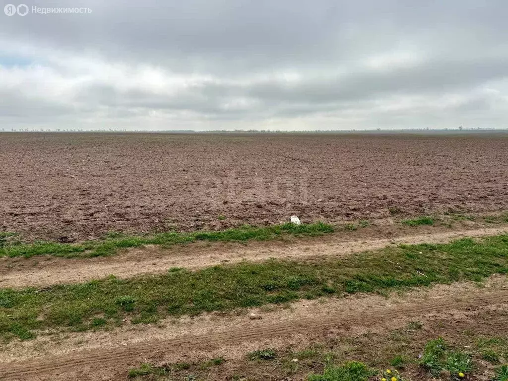 Участок в Сакский район, Штормовское сельское поселение, село ... - Фото 2