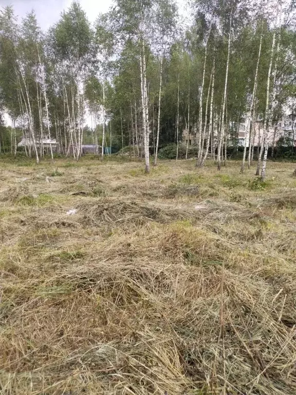 Участок в Московская область, Хотьково Сергиево-Посадский район, ул. ... - Фото 0